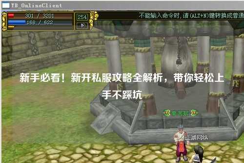 新手必看！新开私服攻略全解析，带你轻松上手不踩坑
